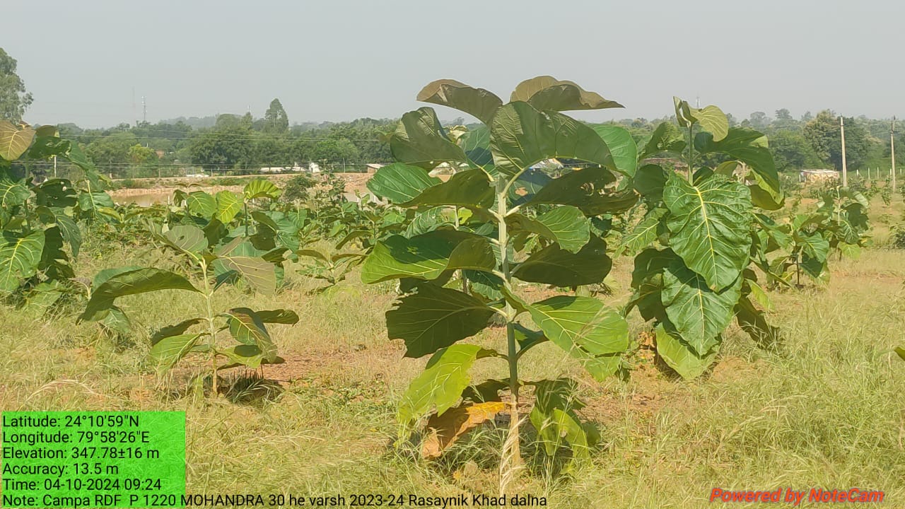 Compensatory Afforestation